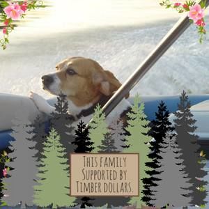 Meet your Posher, Barb